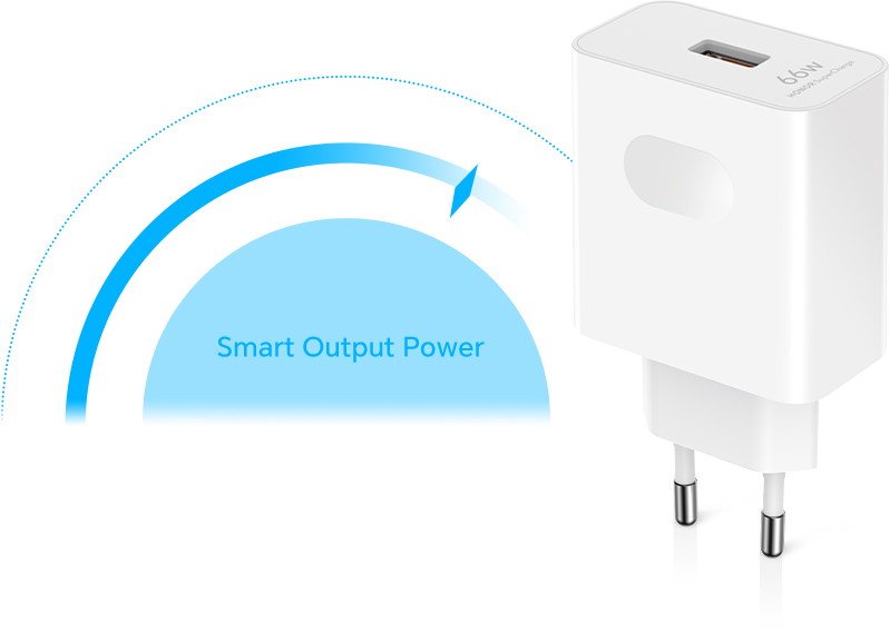 HONOR SuperCharge Power Adapter (Max 66W)-5